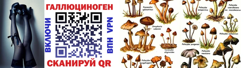 как найти   Воткинск  Галлюциногенные грибы ЛСД 